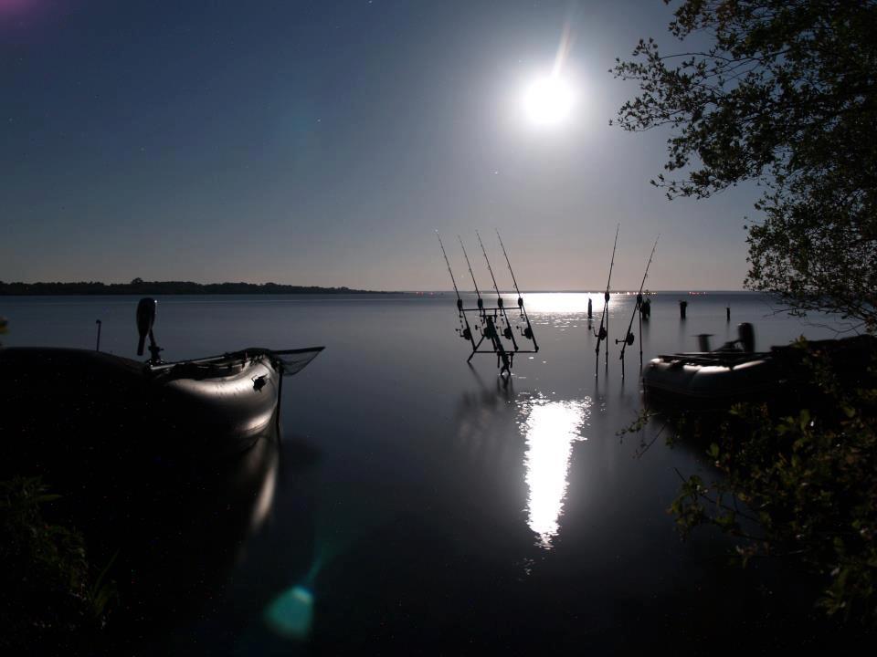 Diverse :) - 472491318367582636507425053n.jpg